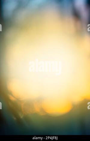 Frühlingsfelder mit grünem Gras und farbenprächtiger, heller Sonnenuntergangsstruktur. Farbenfrohe rosa und orange Sonne kommt von über dem Hügel entkoklicht zurück Stockfoto