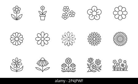 Symbole für Kamillenlinien festgelegt. Gänseblümchen, Echinacea-Vektorbild. Umrissschilder für Kamillentee. Bearbeitbare Kontur Stock Vektor