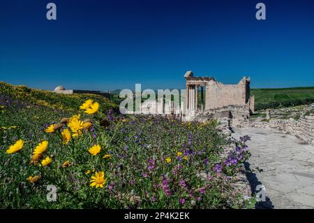 Römischer Tempel in der archäologischen Stätte Dougga in Tunesien Stockfoto