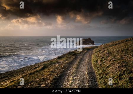 Abendlicht über einem rauen Fußweg auf dem zerklüfteten Pentire Point East, der zu einem Aussichtspunkt der felsigen Insel namens Goose Rock am coa führt Stockfoto