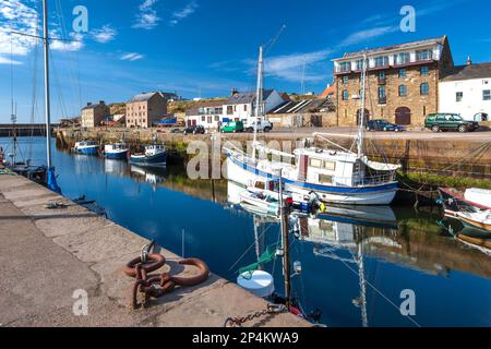 Sommersonniger Blick auf den Hafen von Burghead mit verankerten Fischerbooten und Vergnügungsyachten auf dem Moray Firth in Schottland Stockfoto