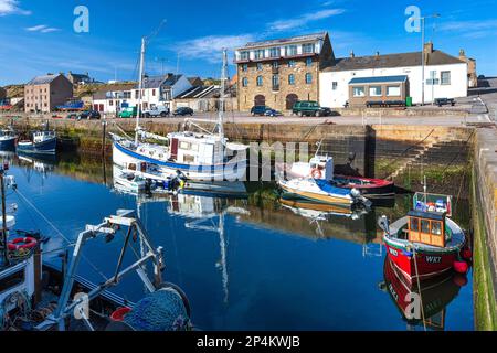 Sommersonniger Blick auf den Hafen von Burghead mit verankerten Fischerbooten und Vergnügungsyachten auf dem Moray Firth in Schottland Stockfoto