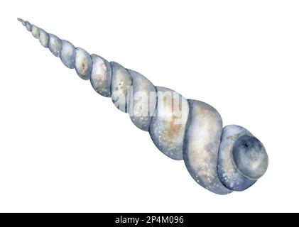 Aquarelle Spirale Seashell auf isoliertem Hintergrund. Handgezeichnete Darstellung von Sea Shell für Design im ozeanischen Stil. Zeichnung von Cockleshell. Skizze der Unterwasserfauna in pastellblauen Farben für Icon. Stockfoto