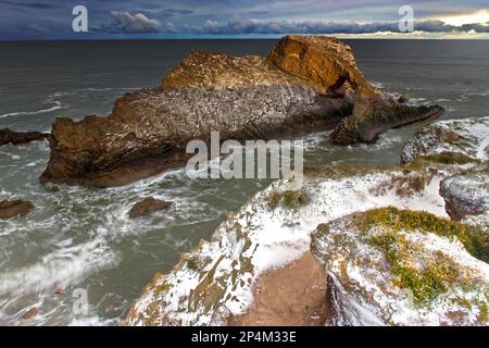 Blick auf den im Winter von Schnee bedeckten Bow Fiddle Rock, von der Klippe in der Nähe von Portknockie am Moray Firth in Muray, Schottland Stockfoto