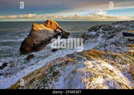 Blick auf den im Winter von Schnee bedeckten Bow Fiddle Rock, von der Klippe in der Nähe von Portknockie am Moray Firth in Muray, Schottland Stockfoto