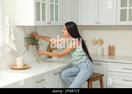 Wunderschöne junge Frau, die sich um Zimmerpflanzen kümmert, während sie in der Küche auf dem Hocker sitzt Stockfoto