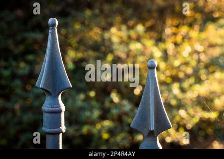 Spitz zulaufende Zaunpfähle mit einem einzelnen Strang Spinnenseide dazwischen. Stockfoto