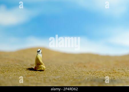 Miniatur-Menschen-Spielzeug-Figuren-Fotografie. Ein Mann aus dem Nahen Osten, der traditionelle Kleidung trägt, sitzt und betet in der Wüste. Bildfoto Stockfoto