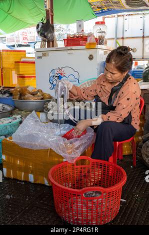 Ein Meeresfrüchtehändler auf dem Central Market in Phnom Penh, Kambodscha, inspiziert einen jungen Tintenfisch, den sie verkauft. Stockfoto