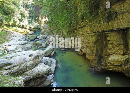 Kleiner Felsenfluss im Martvili Canyon Naturdenkmal, Inchkhuri Dorf in der Nähe von Kutaissi Stadt von Georgien Stockfoto