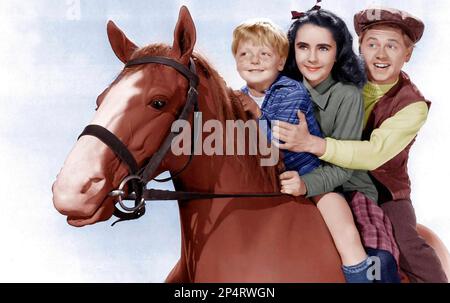 NATIONAL SAMT 1944 MGM Film mit Butch Jenkins, Elizabeth Taylor, Mickey Rooney von links Stockfoto