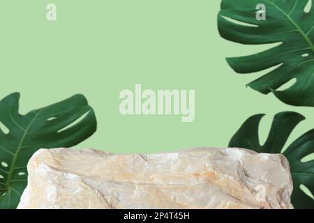 Stein Podium mit Monstera Tropenwaldpflanze verschwommen grün isoliert background.Organic Schönheit gesundes Produkt präsentieren natürliche Platzierung Sockel d Stockfoto