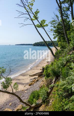 Priory Bay, St. Helens, Isle of Wight, Großbritannien Stockfoto