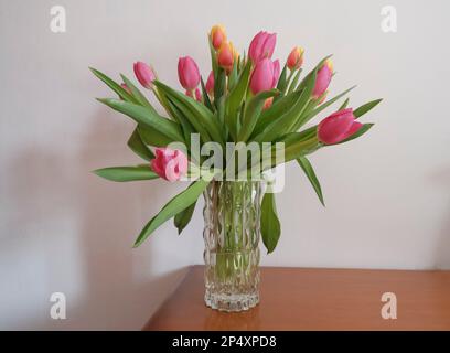 Strauß farbenfroher Tulpen in Vase an der weißen Wand in der Holzschublade. Speicherplatz kopieren. Inneneinrichtung. Hotelzimmer Stockfoto