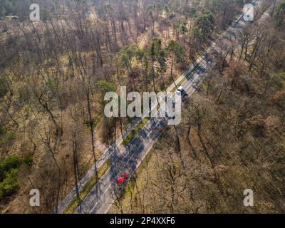 Luftaufnahme einer Straße durch Nadelbäume in kranken Wäldern, die von der Walddieback betroffen sind, Hessen, Deutschland Stockfoto