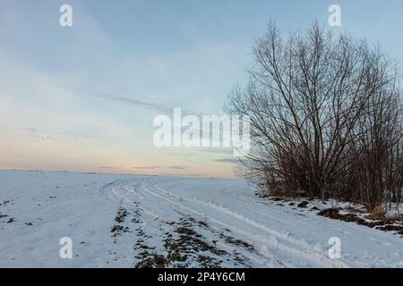 Verschneite Straße in einem Feld, das zum Kiefernwald führt. Winterstraße ins Nirgendwo an sonnigen Tagen, schneebedeckte frische Autorasse. Auto zeichnet in einem tiefen Schnee von abgelegenen r nach Stockfoto