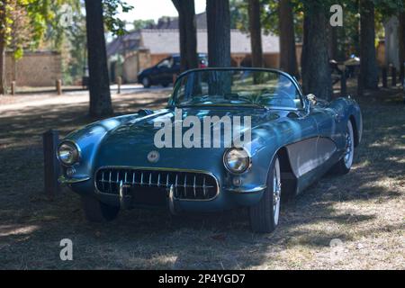 Chantilly, Frankreich - September 03 2016:1956 Chevrolet Corvette Cabrio im Schatten der Bäume. Stockfoto