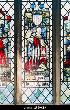 Mittelalterliche Buntglasfenster, Blick auf ein gut erhaltenes mittelalterliches Buntglasporträt von Lady Elizabeth Fitzwauter, Holy Trinity Church Long Melford Stockfoto