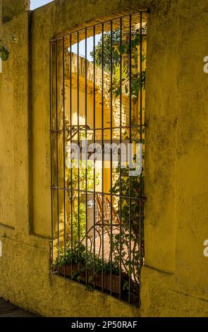 Versperrte Fenster mit Blick auf den Innenhof des Antiquitätengeschäfts in Colonia del Sacramento Stockfoto