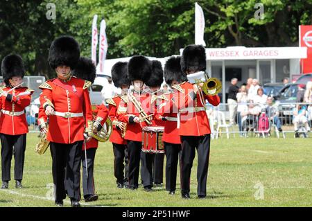 Bute Park, Tag Der Streitkräfte, 2015. Stockfoto