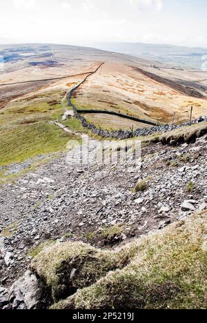 Es ist ein bisschen schwierig, wenn der Weg zum Gipfel des Pen-y-Gent steil aufsteigt. Den Weg zurück nach Horton-in-Ribblesdale entlang der Mauer zu sehen Stockfoto