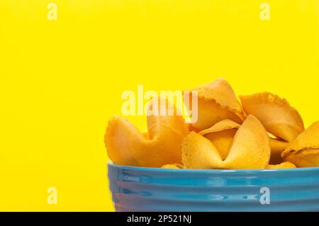 Ungeöffnete Glückskekse in einer blauen Keramikschüssel, teilweise isoliert auf gelbem Hintergrund mit Kopierraum. Stockfoto