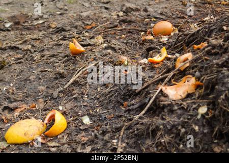 Komposthaufen. Unschärfe-Kompost und kompostierter Bodenzyklus als Kompostierhaufen verrottender Küchenabfälle mit Obst und Gemüse. Müllabfuhr Stockfoto