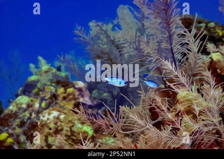 Digital erstelltes Aquarellgemälde eines Paars blauer Chromis Damelfish Chromis cyanea, das über dem Korallenriff schwimmt Stockfoto