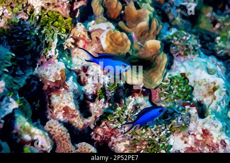 Digital erstelltes Aquarellgemälde eines Paars blauer Chromis Damelfish Chromis cyanea, das über dem Korallenriff schwimmt Stockfoto