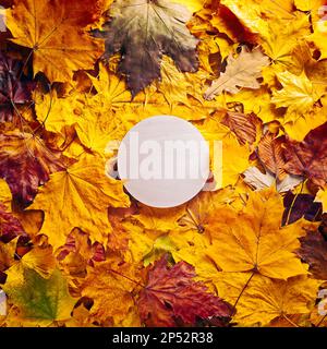 Herbstkonzept - Hintergrund von trockenen Herbstblättern mit Platz für Text in der Mitte - rundes Holzpodium umgeben von Herbstblättern, Kopierspak Stockfoto