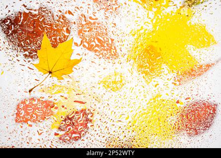 Herbsthintergrund - farbige Herbstblätter unter Wassertropfen. Stockfoto