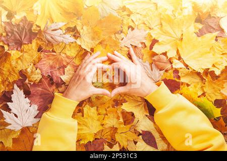 Herbststimmung - Frauenhände in Herzform Stockfoto