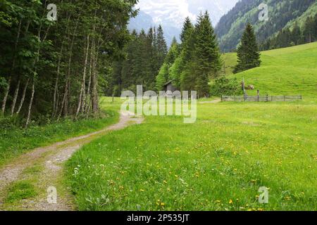 Wanderweg Wild Waters, wilde Wasser, Wiese mit Wildblumen und einer hölzernen Hütte, Steiermark - Österreich Stockfoto