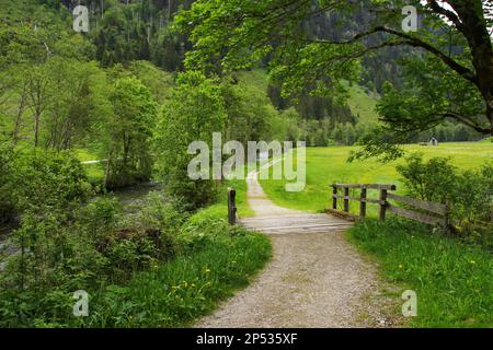 Wanderweg Wild Waters, wilde Wasser, Steiermark - Österreich Stockfoto