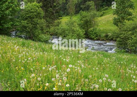 Wanderweg Wild Waters, wilde Wasser, Steiermark - Österreich Stockfoto