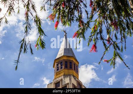 Goiania, Goias, Brasilien – 05. März 2023: Der Gipfel des Turms der Metropolitan Cathedral of Goiania zwischen blühenden Zweigen eines Baumes. Stockfoto