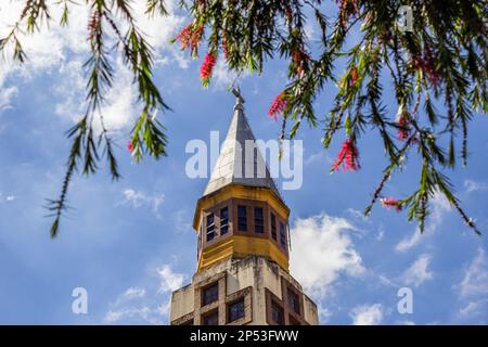 Goiania, Goias, Brasilien – 05. März 2023: Der Gipfel des Turms der Metropolitan Cathedral of Goiania zwischen blühenden Zweigen eines Baumes. Stockfoto