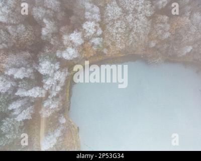 Blick aus der Vogelperspektive oder von oben auf den Winterwaldsee, der das Eis auf dem See und die Kiefern mit schneebedeckten Bäumen zeigt. Winterhintergrundaufnahme durch eine Drohne. Hochwertiges Foto Stockfoto