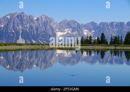 Wanderweg um einen kleinen See im Kaiser-Gebirge (Scheffau, Wilder kaiser) und wunderschöne Reflexionen im Wasser, Tirol - Österreich Stockfoto