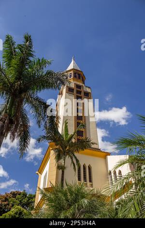 Goiania, Goias, Brasilien – 05. März 2023: Die Metropolitanische Kathedrale von Goiânia zwischen Kokospalmen. Vertikales Format. Stockfoto