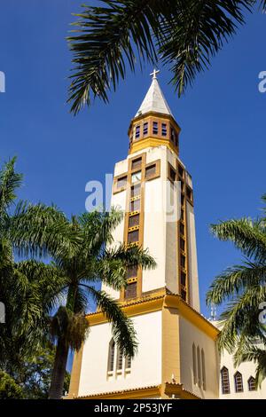 Goiania, Goias, Brasilien – 05. März 2023: Die Metropolitanische Kathedrale von Goiânia zwischen Kokospalmen. Vertikales Format. Stockfoto