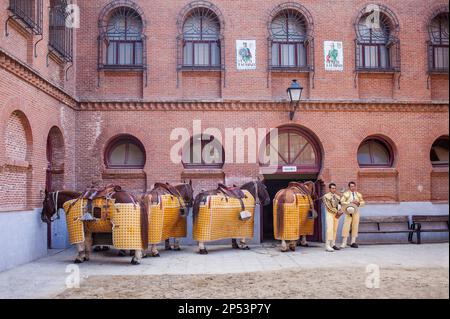 Berittene Stierkämpfer, Picadores in Las Ventas Stierkampfarena, Madrid, Spanien Stockfoto