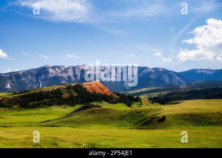 Berge und grüne Hügel entlang des Chief Joseph Highway in einer sonnigen Sommerlandschaft in Wyoming Stockfoto