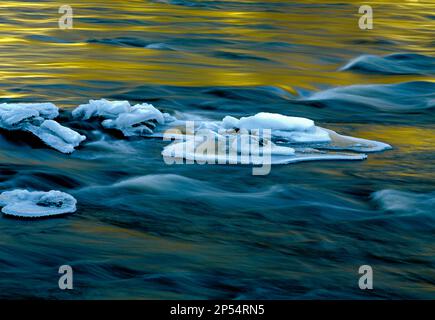 Eisformationen am teilweise gefrorenen Lehigh River im Lehigh Gorge State Park, Pennsylvania Stockfoto