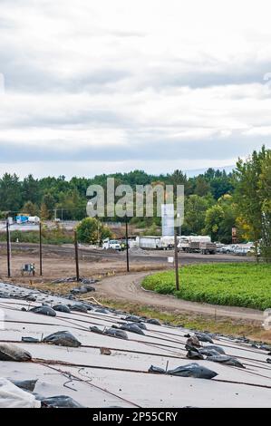 Beschichtete Kunststofffolien bedecken einen Hang in einer aktiven Deponie. Vermutlich PVC-Geomembranen im Vordergrund, eine Mülldeponie in der Ferne. Stockfoto