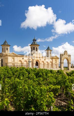 Weinberge mit Chateau Cos d'Estournel, Bordeaux, Aquitanien, Frankreich Stockfoto