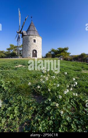 Montfuron Windmill (Moulin Saint-Elzear de Montfuron) in Provence, Alpes-de-Haute-Provence, Frankreich Stockfoto