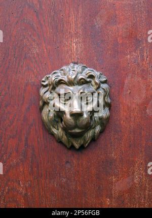 Bronzekopf eines Löwen auf roter Holzstruktur. Löwenkopf an roter Tür. Stockfoto