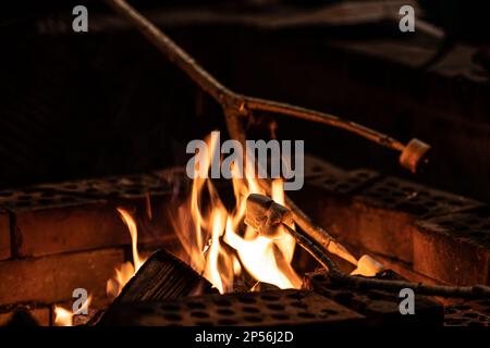 Sie kochen Marshmallows am Lagerfeuer Stockfoto