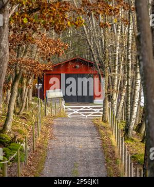 Schottereinfahrt mit weißem Zaun vor einer roten Garage. Stockfoto